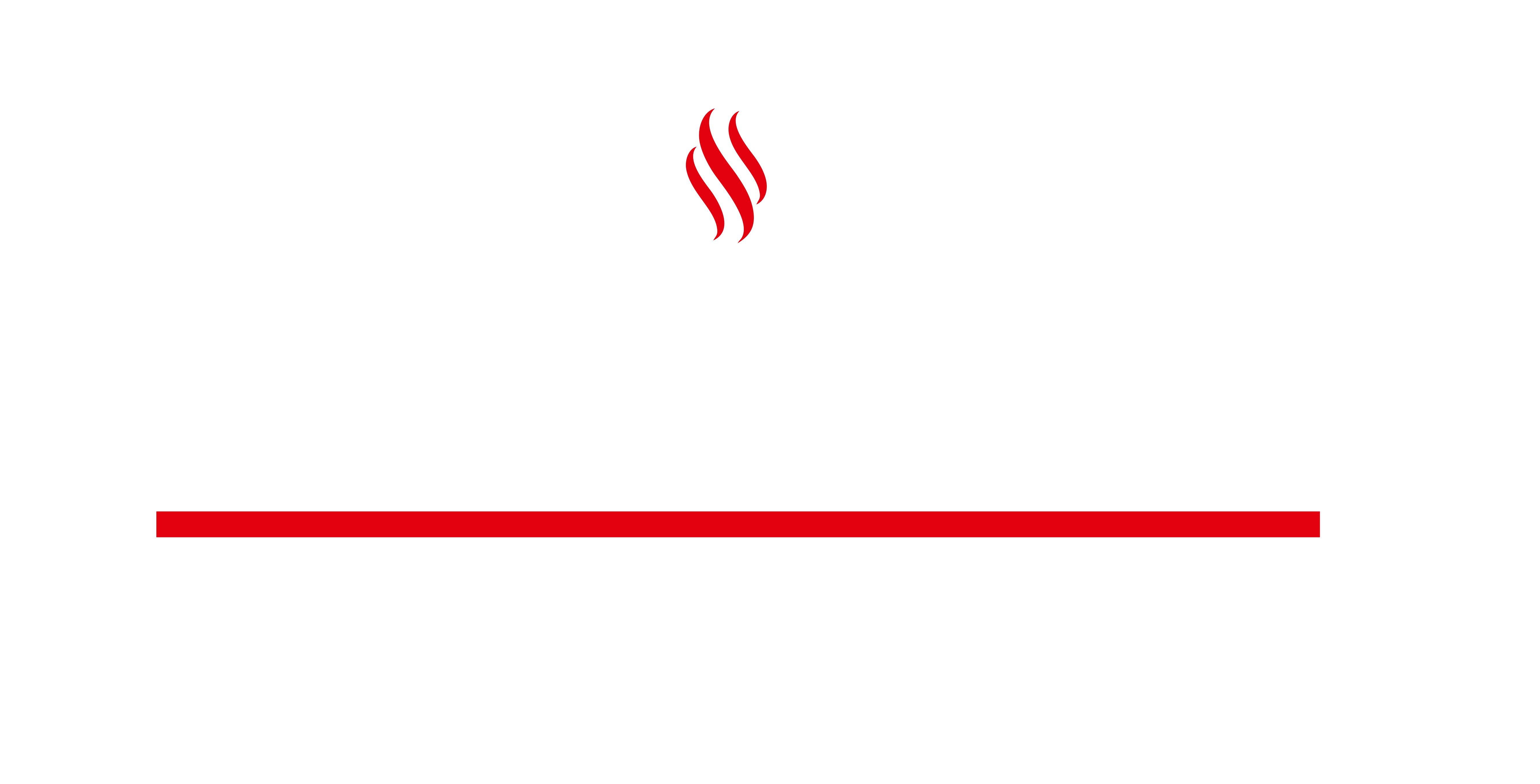 Firma Logosu